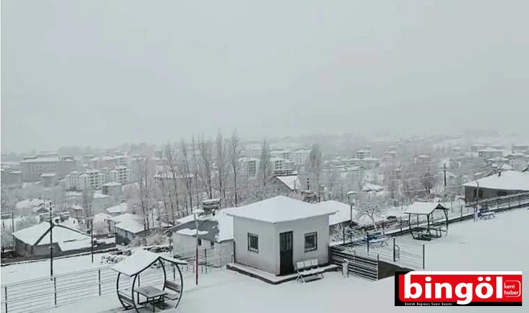 Karlıova’da kar yağışı etkili oldu