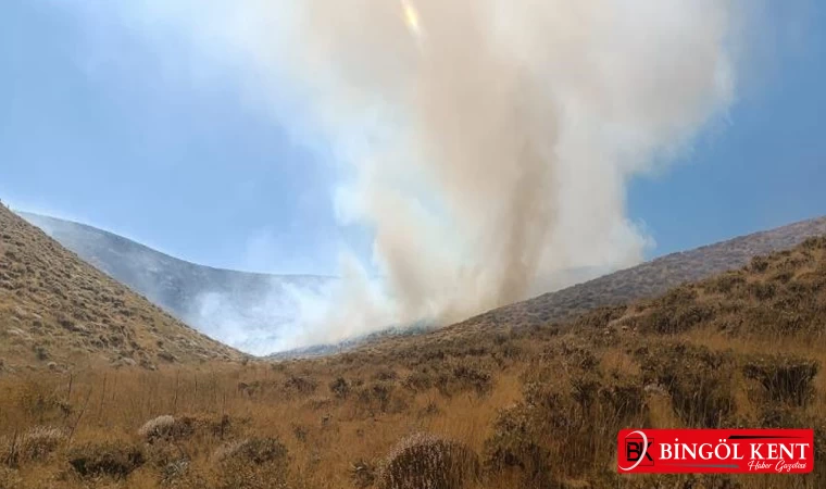 Bingöl’de iki bölgede çıkan yangın söndürüldü