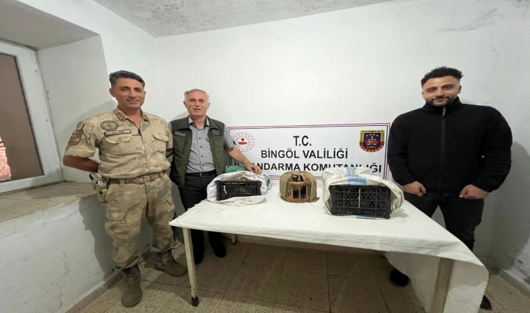 Bingöl’de yasa dışı avlanan 23 adet kınalı keklik ele geçirildi