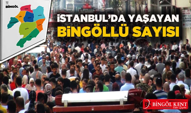 İstanbul’da Kaç Bingöllü Yaşıyor?