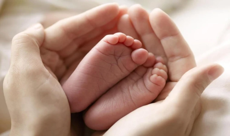 Bingöl’de 2023 Yılında Kaç Bebek Doğdu?