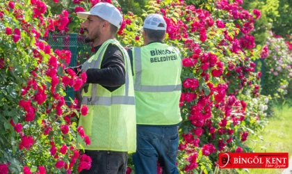 Bingöl Belediyesi, çiçeklerin bakımını yapıyor
