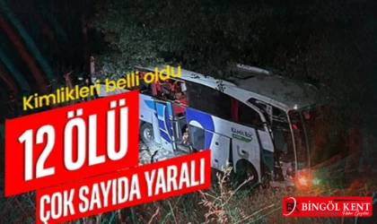 Yolcu otobüsü şarampole uçtu! 12 ölü, 19 yaralı