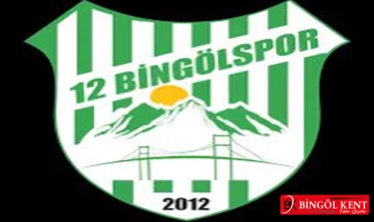 12 Bingölspor, Ziraat Türkiye Kupası'nda