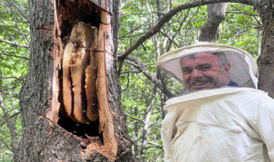 Bingöl’de ’Bal avcıları’ arı takibi yaparak doğal bala ulaşıyor