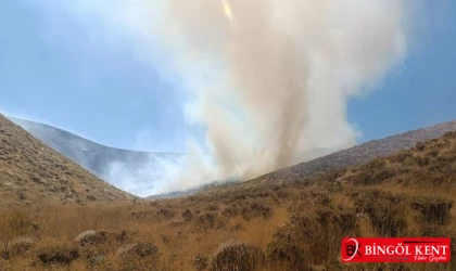 Bingöl’de iki bölgede çıkan yangın söndürüldü
