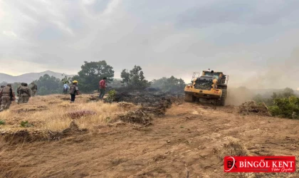 Bingöl'de Alevlerle Mücadele: Orman Yangını Kontrol Altına Alındı