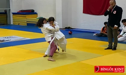 Bingöl’de judo müsabakaları yapıldı
