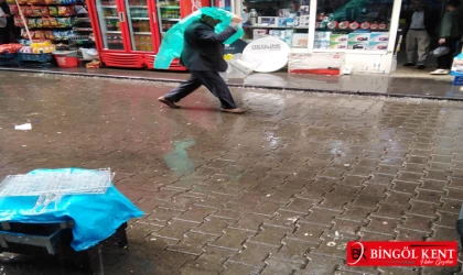 Bingöl'de sağanak yağmur etkili oldu