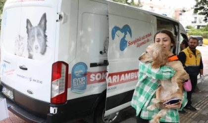 Sokak hayvanları ambulansı Eyüpsultan’ın mahallelerinde