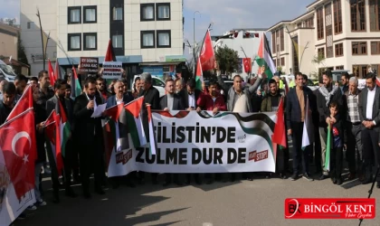 Bingöl AK Parti Gençlik Kolları'ndan İsrail’e tepki
