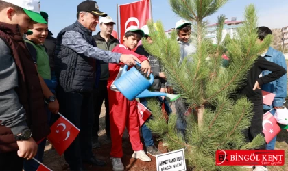 Bingöl'de fidanlar 'Cumhuriyet Ormanı' için dikildi