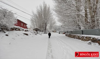 Karlıova'da 10 Köy Yolu Kapandı!