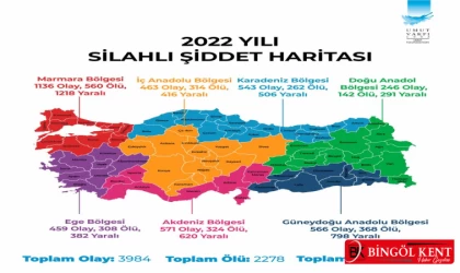 Türkiye silahlı şiddet haritası