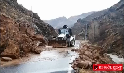Yağışlar Bingöl'de dağı yardı: Dev kayalar yolu kapattı...