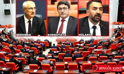 Bingöl Milletvekillerinin Meclis Performansları