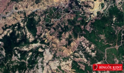 Bingöl’de 93 hektarlık alan orman sınırları dışına çıkarıldı