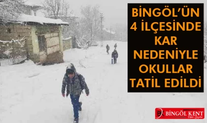 Bingöl'de 'Kar' 4 İlçeye Tatil Getirdi!