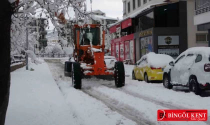 Bingöl'de Kar Kalınlığı Rekor Seviyede! 283 Köy Yolu Ulaşıma Kapandı