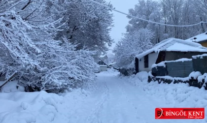 Karlıova'da Kar Yağışı ve Ulaşım Zorlukları Devam Ediyor! İşte Detaylar...
