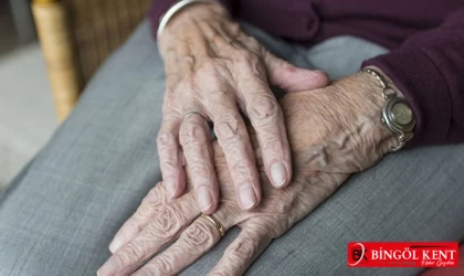 Bingöl nüfusu yaşlanıyor