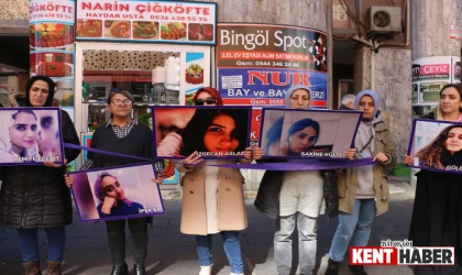 Bingöl'de Dem Parti 8 Mart Programında Kadın Cinayetlerine Dikkat Çekti!