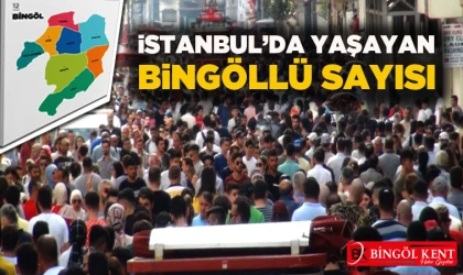 İstanbul’da Kaç Bingöllü Yaşıyor?