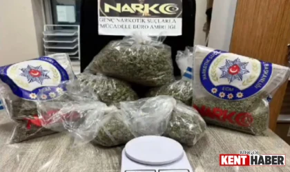 Bingöl'de 9.9 Kilogram Uyuşturucu Ele Geçirildi, 4 Kişi Tutuklandı
