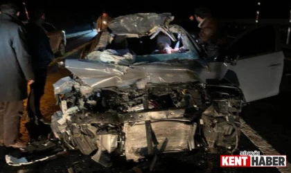 Bingöl-Elazığ Yolunda Otomobil Odun Yüklü Kamyona Çarptı, 1 Kişi Hayatını Kaybetti
