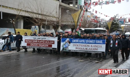 Bingöl’de "Gazze’ye Destek" Yürüyüşü