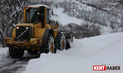 Kar Yağdı, Bingöl'de 200 Köy Yolu Kapandı!